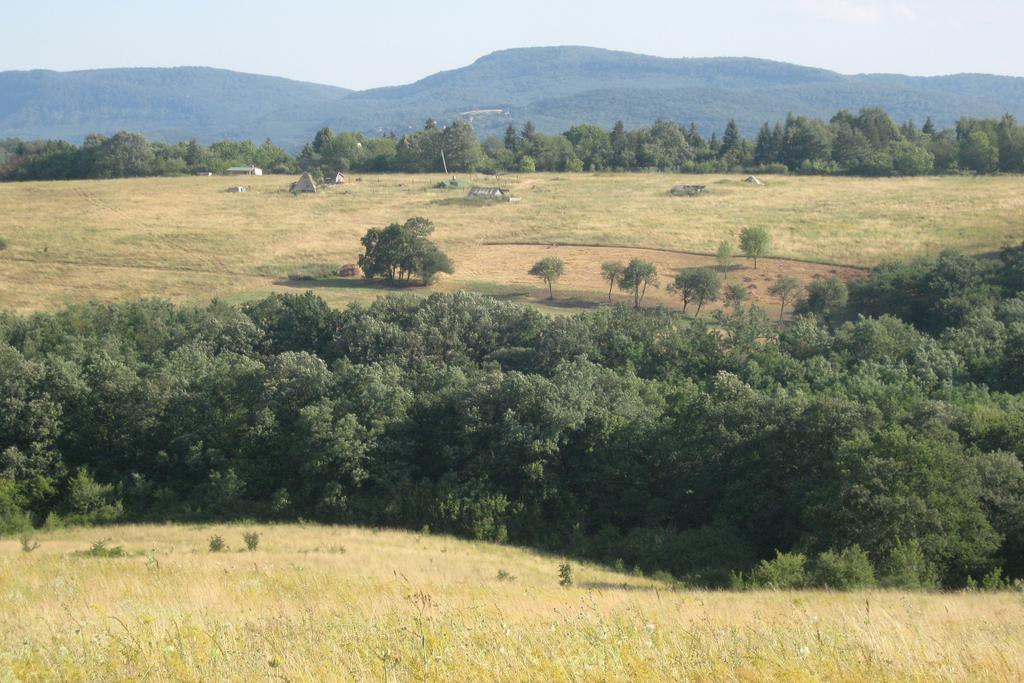 Harangvirág 36 Faház Vila Kismaros Exterior foto